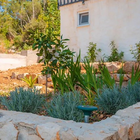 Kuca Za Odmor Mare Hébergement de vacances Desne